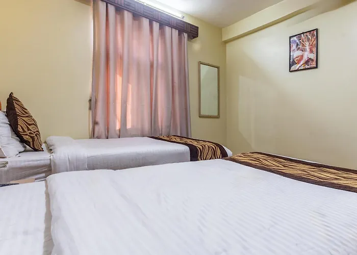 Oyo 831 Mission Pvt Ltd Hotel Katmandou